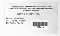Image Associated With the Occurence